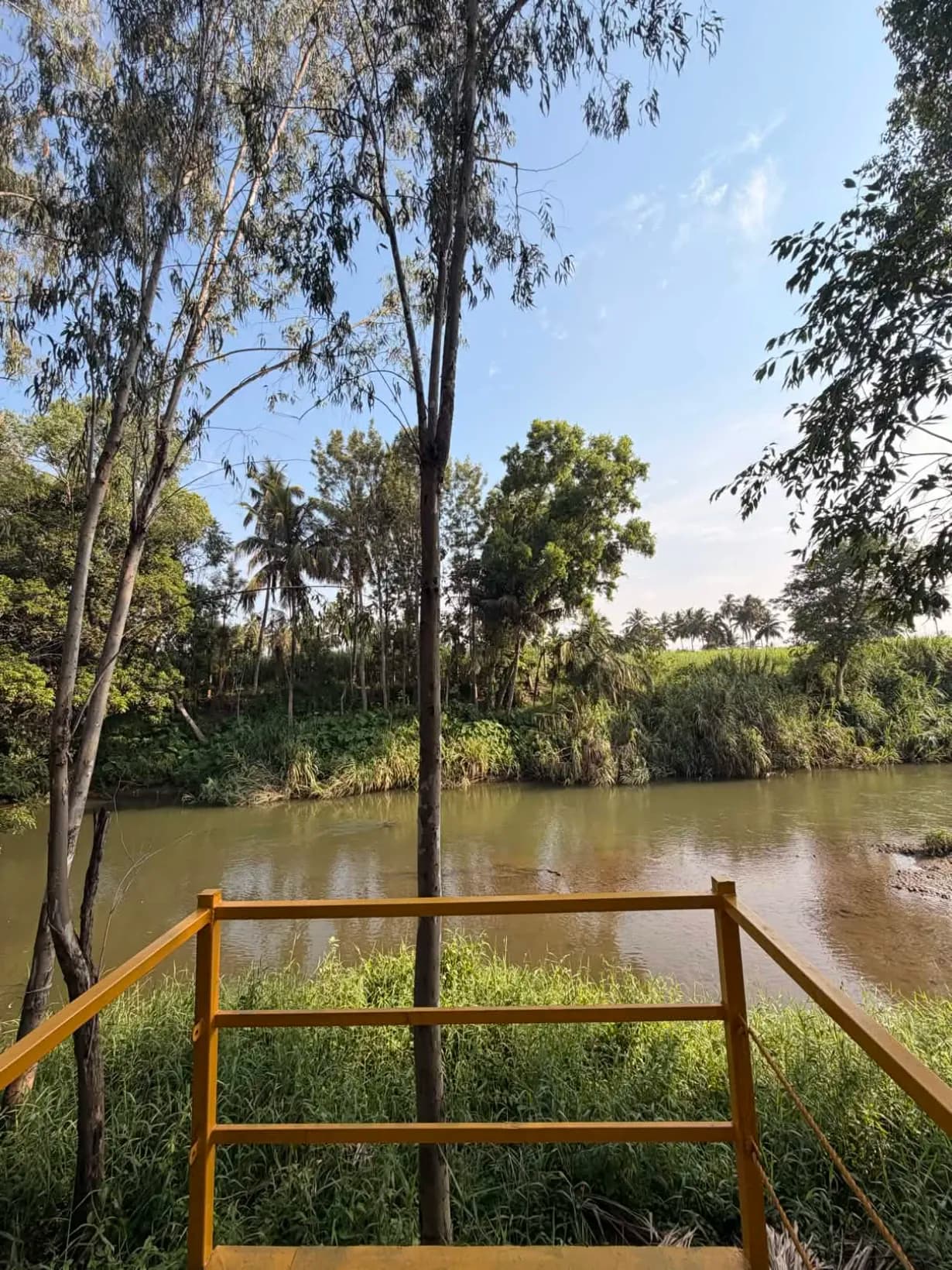 Lokavana resort view with lush greenery