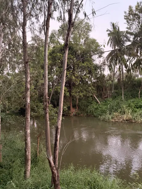 Beautiful nature surroundings at Lokavana farmstay